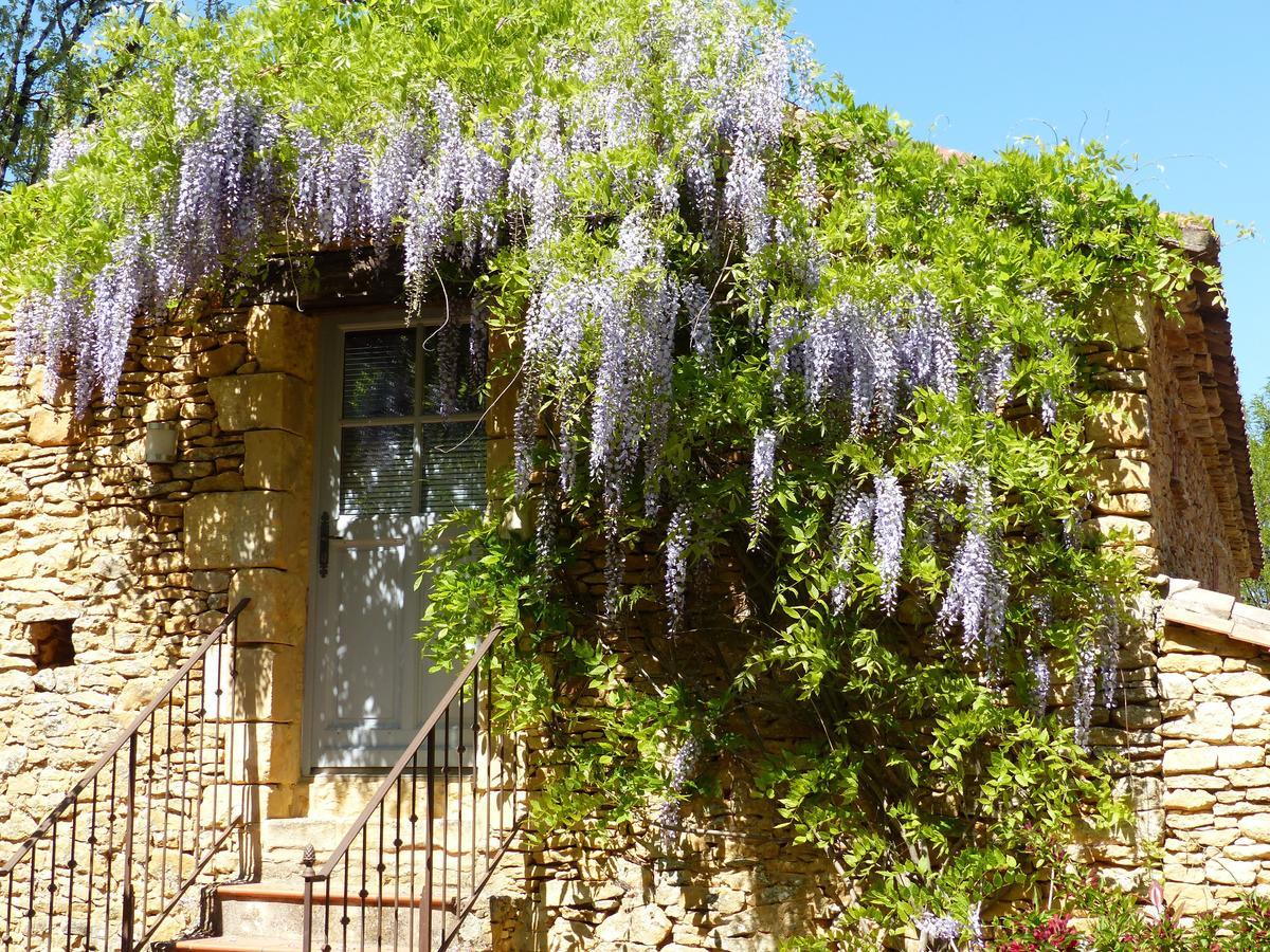 Saint-Germain-de-Belvès莱斯帮蒂尼斯住宿加早餐旅馆住宿加早餐旅馆 客房 照片