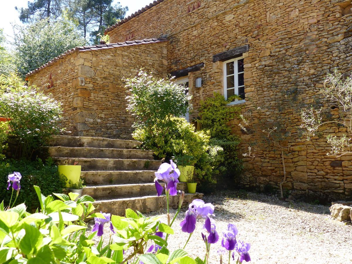Saint-Germain-de-Belvès莱斯帮蒂尼斯住宿加早餐旅馆住宿加早餐旅馆 外观 照片